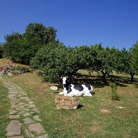 Casa Conti Di Sotto Holiday home *