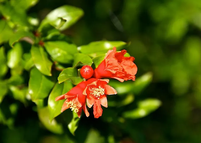 Casa Conti Di Sotto Casa de Férias Gavorrano