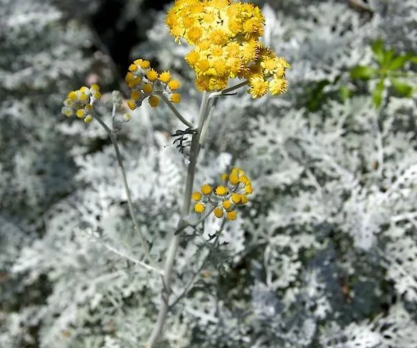 Casa Conti Di Sotto Casa de Férias